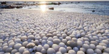 People from Finland share this rare natural phenomenon. This is what it is.