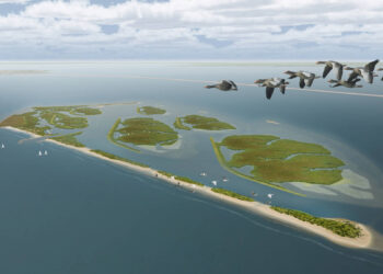 The Dutch islands of tomorrow