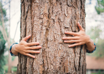 Rethink your relationship with nature: the scope of the loneliness trap