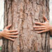 Rethink your relationship with nature: the scope of the loneliness trap