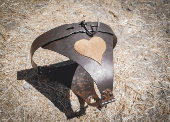 Did chastity belts really have been used in the Medieval Period?