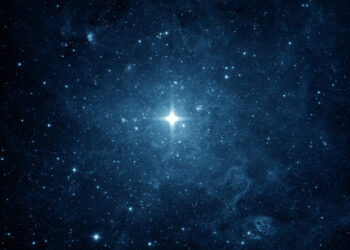 Why the mass of stars matters