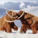 What really happened to mammoths and other ice age giants