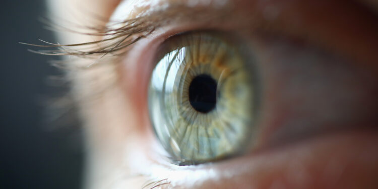 How to improve your vision?